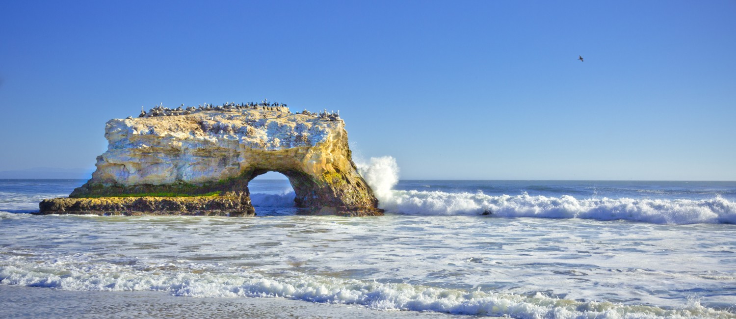Explore Beaches, Parks, and Surrounding Cities